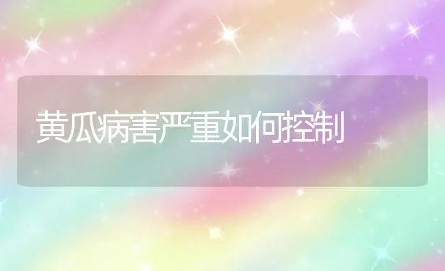 黄瓜病害严重如何控制 | 蔬菜种植
