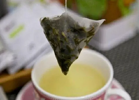 食用科普|乌龙茶是热性还是凉性