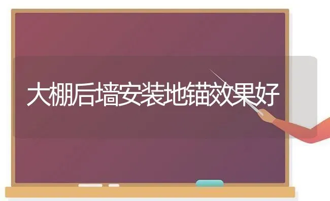 大棚后墙安装地锚效果好 | 瓜果种植
