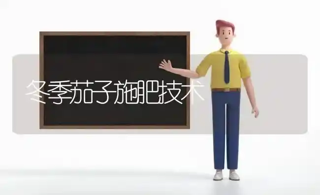 冬季茄子施肥技术 | 种植肥料施肥