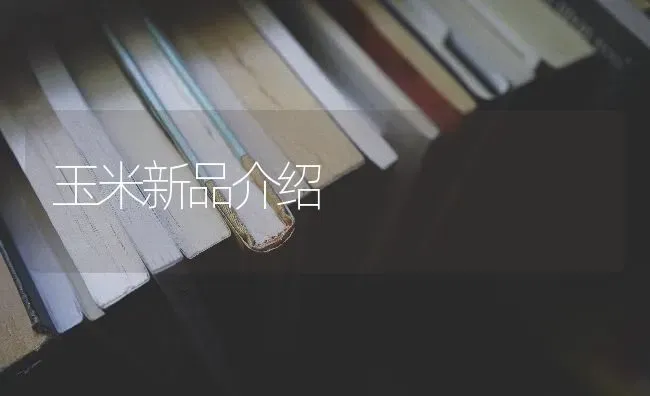 玉米新品介绍 | 粮油作物种植