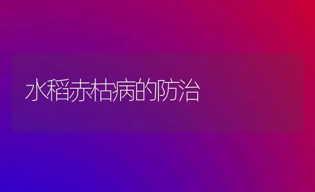 水稻赤枯病的防治 | 粮油作物种植