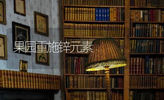 果园重施锌元素 | 瓜果种植