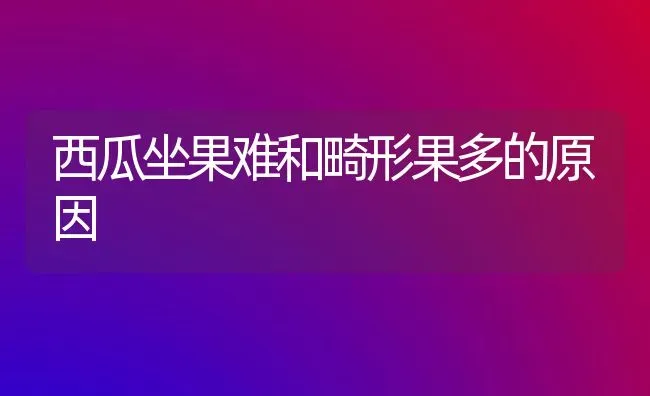 西瓜坐果难和畸形果多的原因 | 瓜果种植