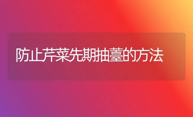 防止芹菜先期抽薹的方法 | 蔬菜种植