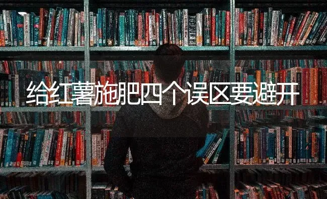 给红薯施肥四个误区要避开 | 种植肥料施肥