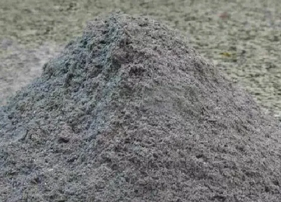 种植土壤|草木灰可以种多肉吗