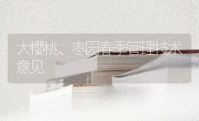 大樱桃、枣园春季管理技术意见 | 瓜果种植