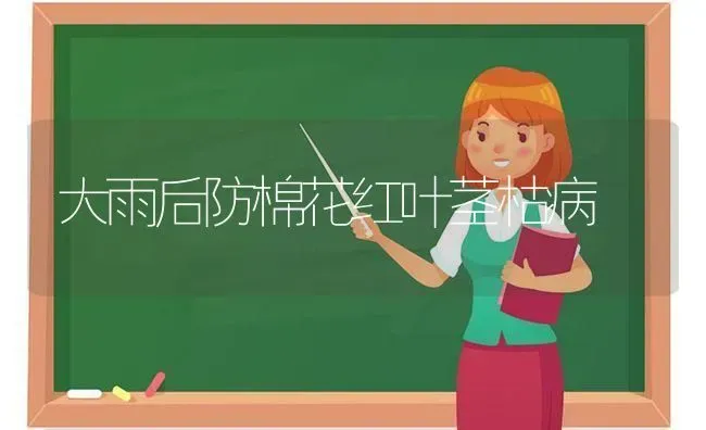大雨后防棉花红叶茎枯病 | 粮油作物种植