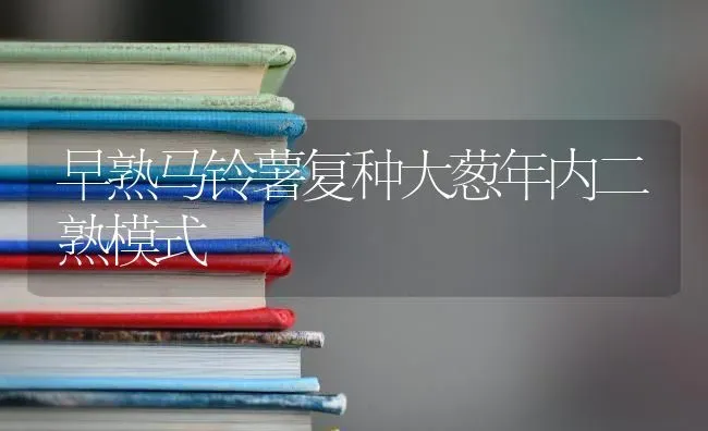 早熟马铃薯复种大葱年内二熟模式 | 粮油作物种植