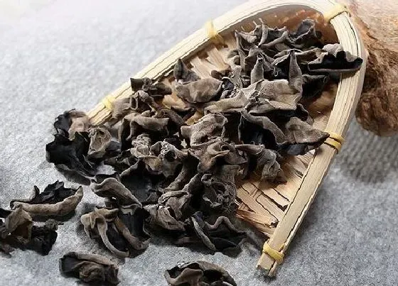 食用须知|降糖的蔬菜有哪些（什么菜控制血糖效果最好）