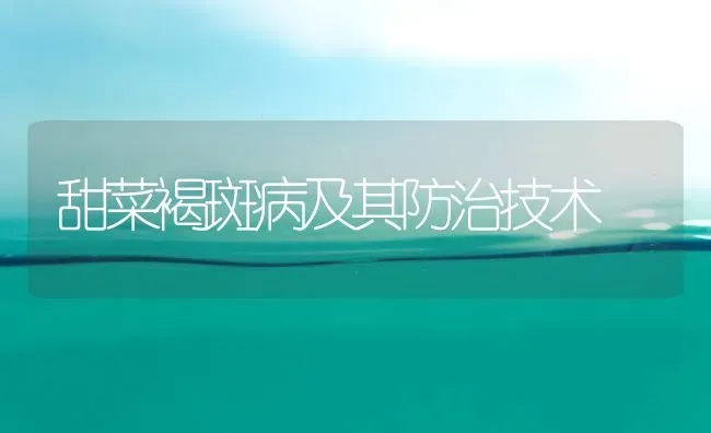 甜菜褐斑病及其防治技术 | 蔬菜种植
