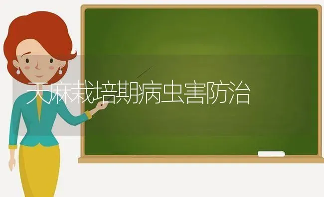 天麻栽培期病虫害防治 | 种植病虫害防治
