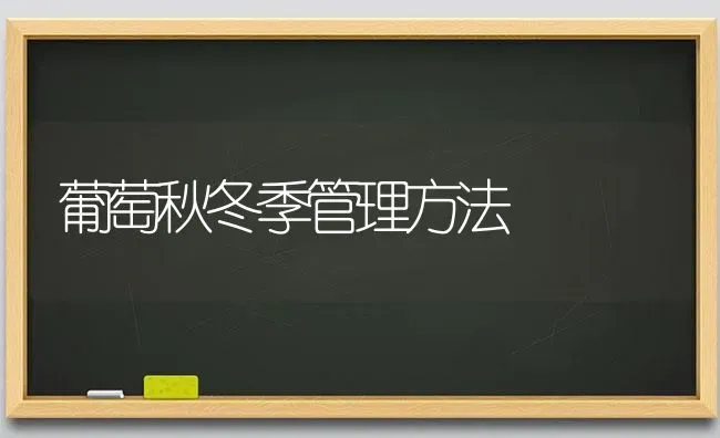 葡萄秋冬季管理方法 | 瓜果种植