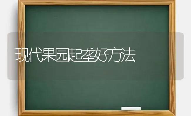 现代果园起垄好方法 | 瓜果种植