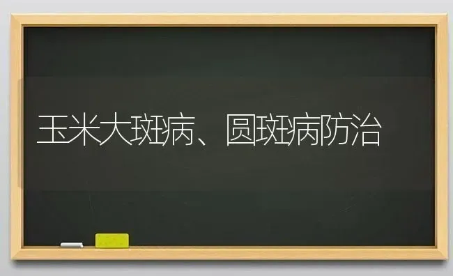 玉米大斑病、圆斑病防治 | 粮油作物种植