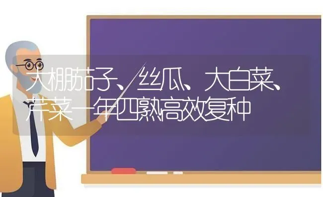 大棚茄子、丝瓜、大白菜、芹菜一年四熟高效复种 | 蔬菜种植