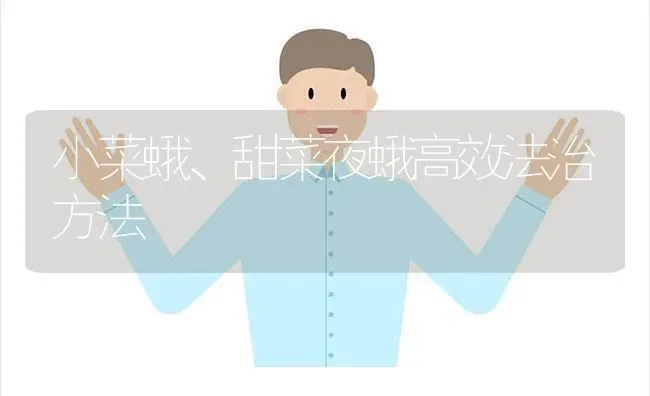 小菜蛾、甜菜夜蛾高效法治方法 | 蔬菜种植