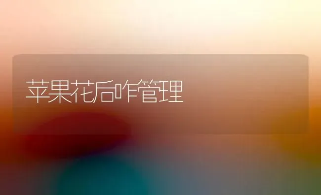 苹果花后咋管理 | 瓜果种植