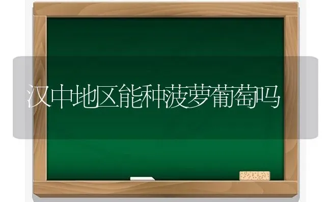 汉中地区能种菠萝葡萄吗 | 瓜果种植