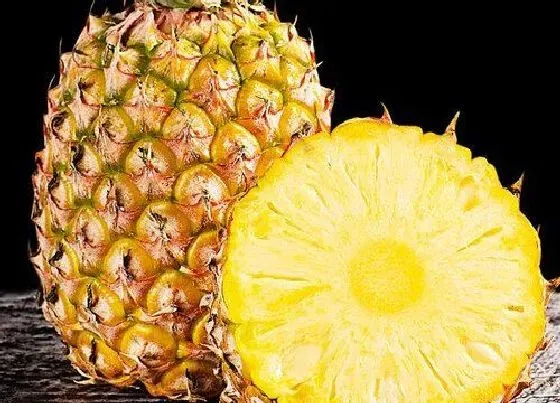 食用常识|凤梨什么季节吃最好