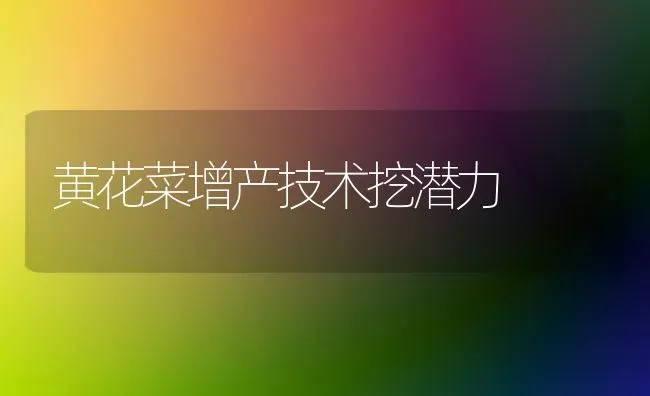 黄花菜增产技术挖潜力 | 蔬菜种植