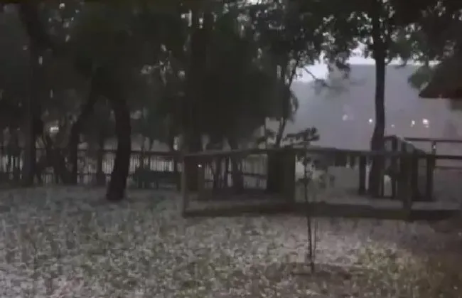 冬天植物|赤道附近的喀麦隆下雪了 非洲下雪实属罕见