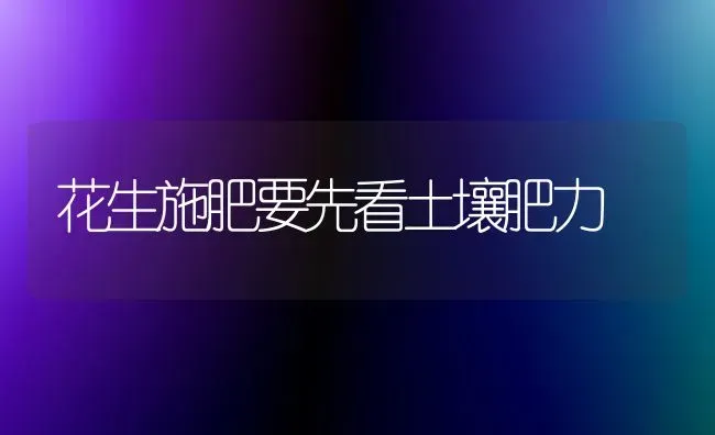 花生施肥要先看土壤肥力 | 种植肥料施肥