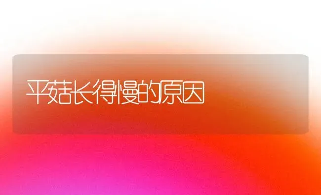 平菇长得慢的原因 | 食用菌种植