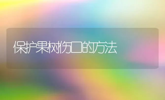 保护果树伤口的方法 | 瓜果种植