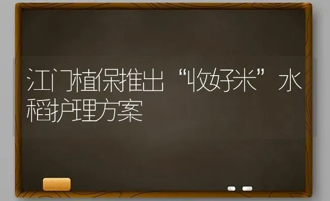 江门植保推出“收好米”水稻护理方案 | 粮油作物种植