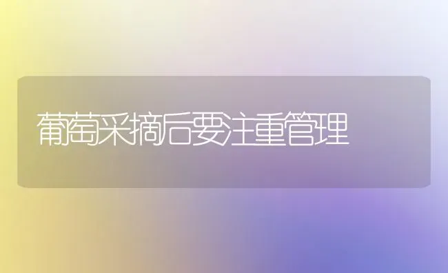 葡萄采摘后要注重管理 | 瓜果种植
