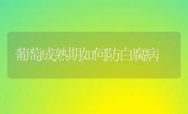 葡萄成熟期如何防白腐病 | 瓜果种植