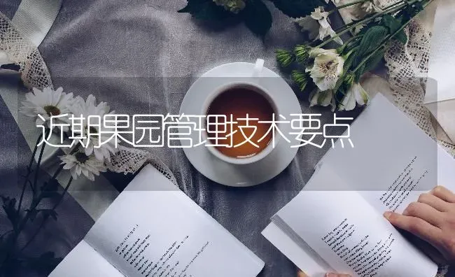 近期果园管理技术要点 | 瓜果种植