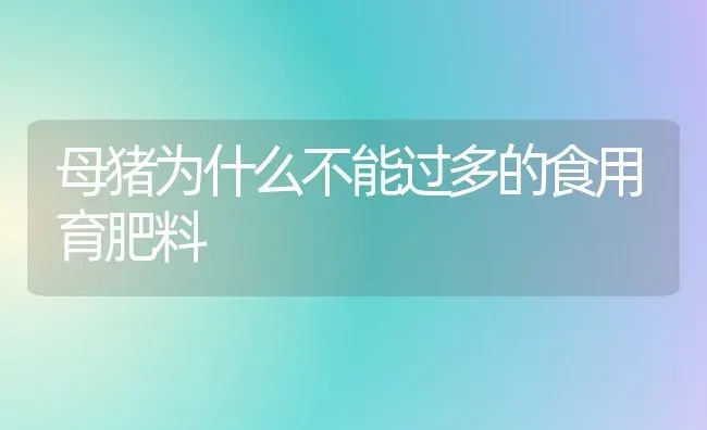 母猪为什么不能过多的食用育肥料 | 种植肥料施肥