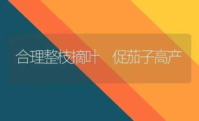合理整枝摘叶　促茄子高产 | 蔬菜种植