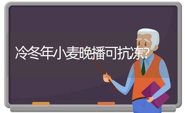 冷冬年小麦晚播可抗冻? | 粮油作物种植