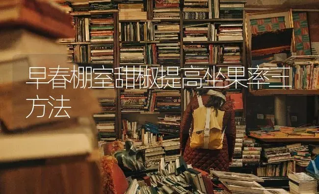 早春棚室甜椒提高坐果率三方法 | 瓜果种植