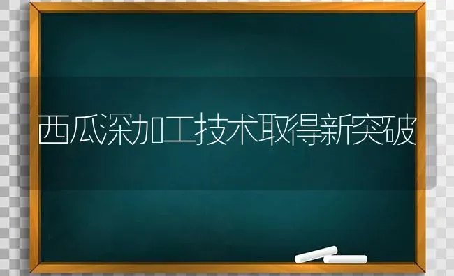 西瓜深加工技术取得新突破 | 瓜果种植