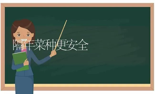 隔年菜种更安全 | 蔬菜种植