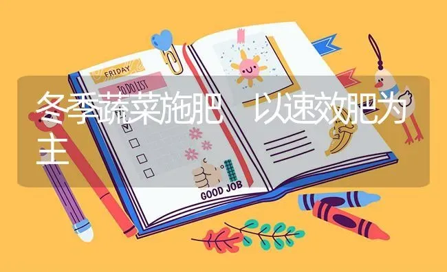 冬季蔬菜施肥 以速效肥为主 | 蔬菜种植