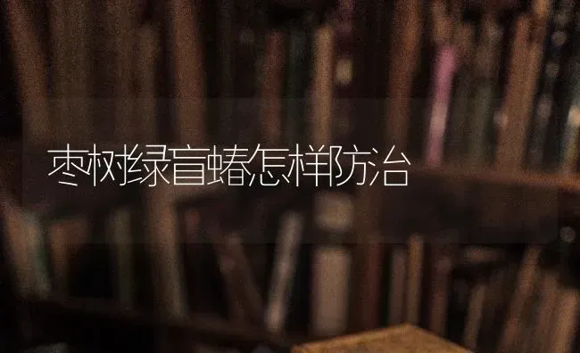 枣树绿盲蝽怎样防治 | 瓜果种植