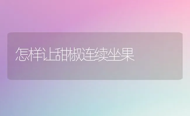 怎样让甜椒连续坐果 | 瓜果种植