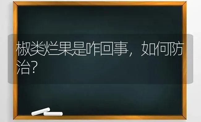 椒类烂果是咋回事，如何防治？ | 瓜果种植