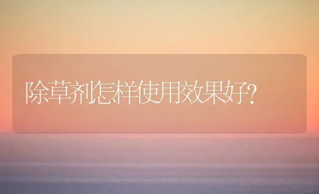 除草剂怎样使用效果好？ | 瓜果种植