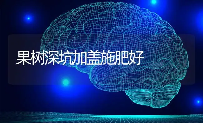 果树深坑加盖施肥好 | 瓜果种植