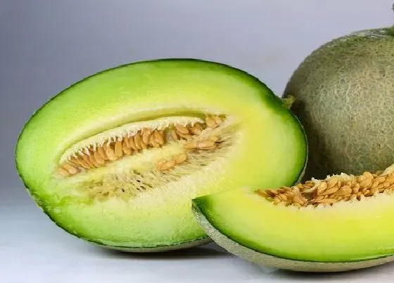 植物产地|溧阳产什么水果