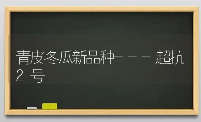 青皮冬瓜新品种---超抗2号 | 蔬菜种植