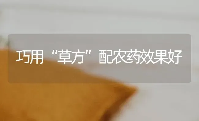 巧用“草方”配农药效果好 | 瓜果种植