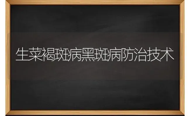 生菜褐斑病黑斑病防治技术 | 蔬菜种植